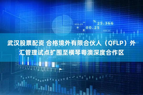 武汉股票配资 合格境外有限合伙人（QFLP）外汇管理试点扩围至横琴粤澳深度合作区
