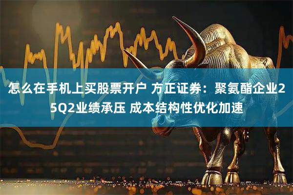 怎么在手机上买股票开户 方正证券：聚氨酯企业25Q2业绩承压 成本结构性优化加速