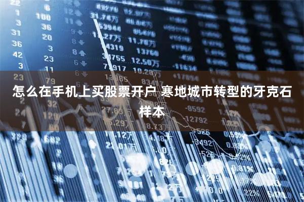 怎么在手机上买股票开户 寒地城市转型的牙克石样本